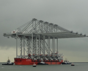 Zhen Hua 26, 14-1-2014, nr.8